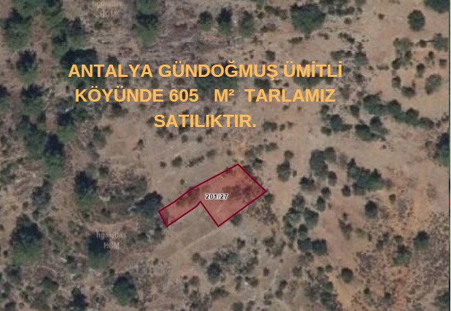 ANTALYA GÜNDOĞMUŞ ÜMİTLİ KÖYÜNDE 605   M²  TARLAMIZ SATILIKTIR. - ANTALYA GÜNDOĞMUŞ fotoğraf 5